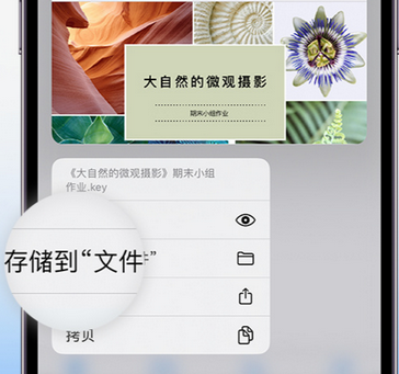 平和apple维修中心分享iPhone文件应用中存储和找到下载文件