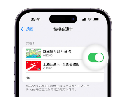 平和apple维修点分享iPhone上更换Apple Pay快捷交通卡手绘卡面 