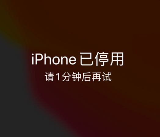 平和苹果手机维修分享:iPhone 显示“不可用”或“已停用”怎么办？还能保留数据吗？ 