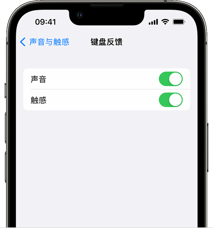 平和苹果14维修店分享如何在 iPhone 14 机型中使用触感键盘 