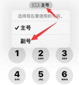 平和苹果14维修店分享iPhone 14 Pro Max使用副卡打电话的方法 