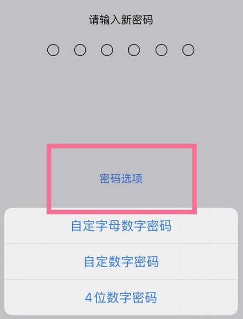 平和苹果14维修分享iPhone 14plus设置密码的方法 