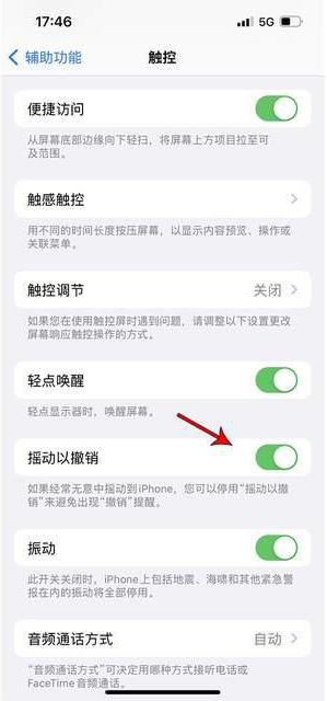 平和苹果手机维修分享iPhone手机如何设置摇一摇删除文字 